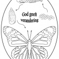 Vlinder - God geeft verandering