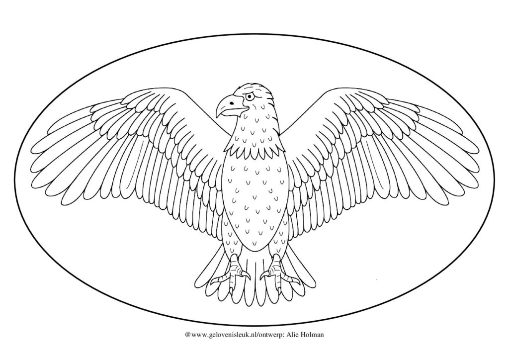 thumbnail of Adelaar_kleurplaat