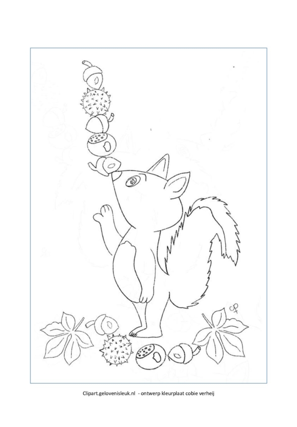 Eekhoorn_herfst-pdf