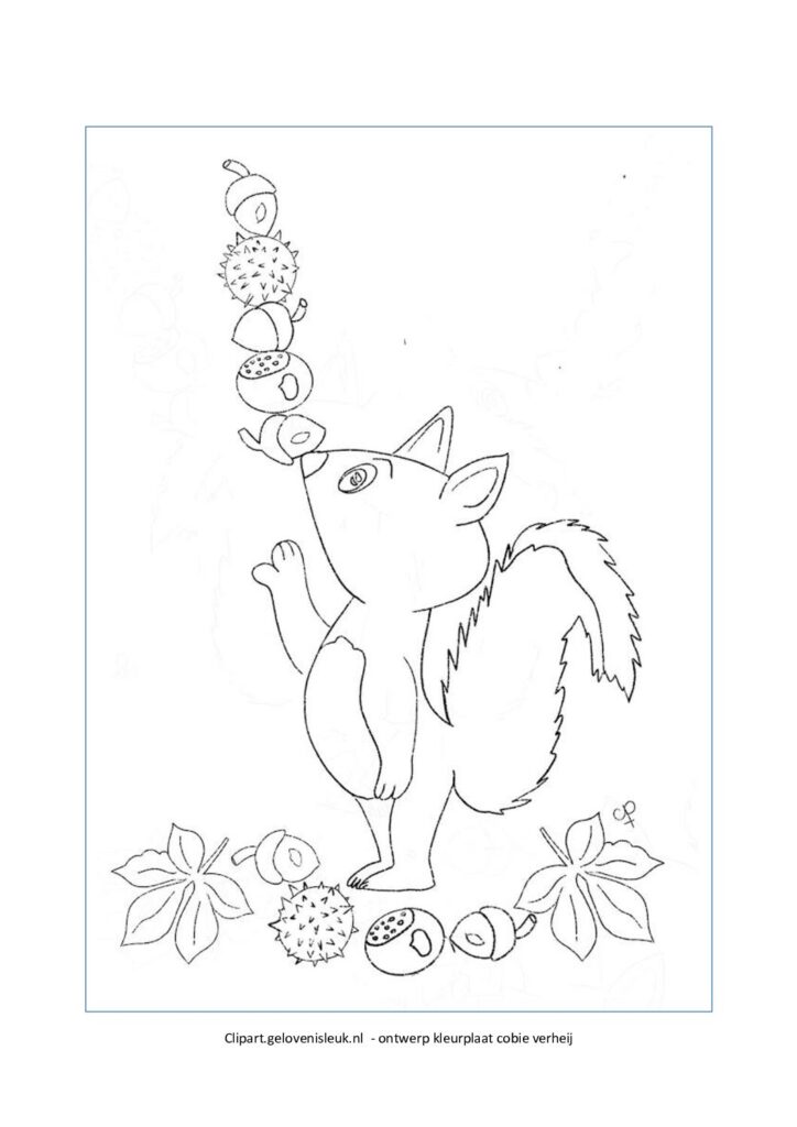 thumbnail of Eekhoorn_herfst