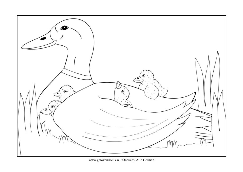 thumbnail of Schuilen_kleurplaat_2e_versie