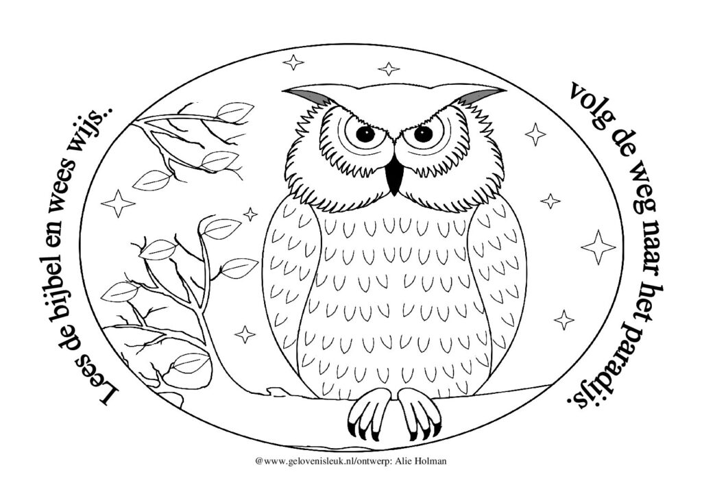 thumbnail of Uil_op_tak_kleurplaat_nederlands