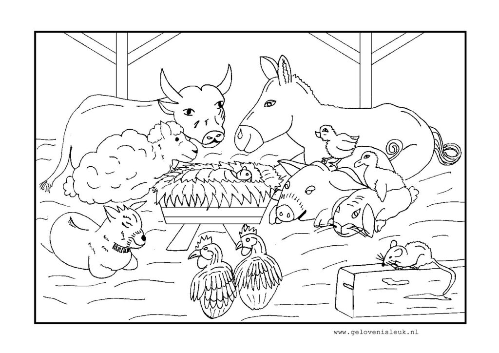 thumbnail of dierenrondkribbe