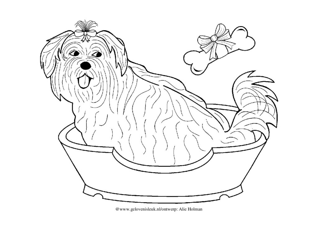 thumbnail of hond_dierendag