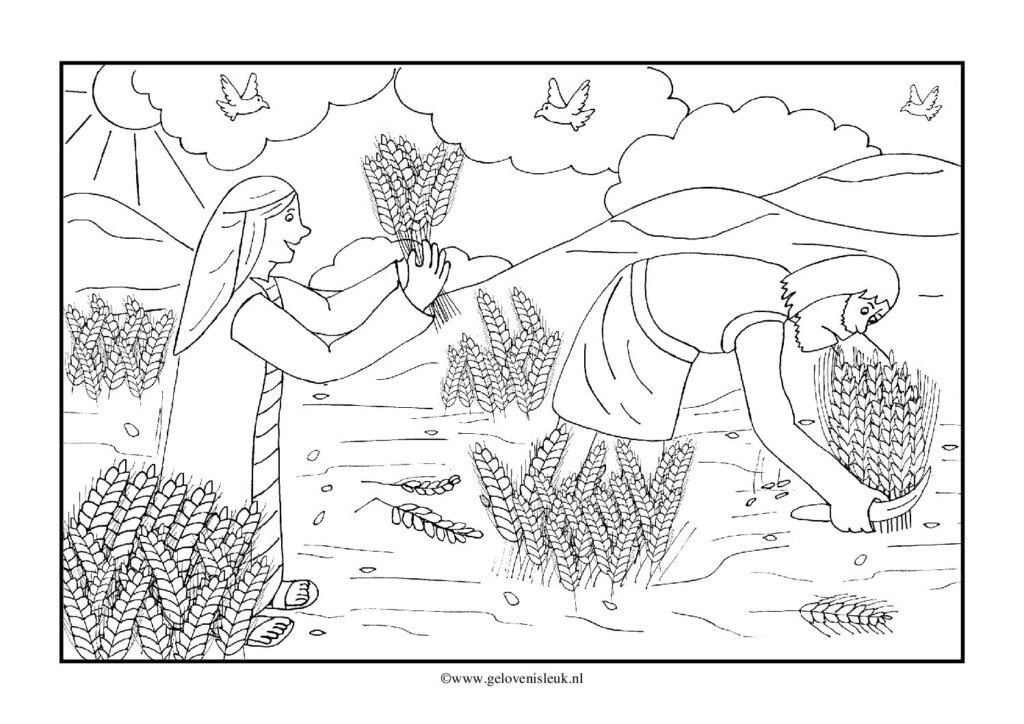 thumbnail of ruth_boaz_veld