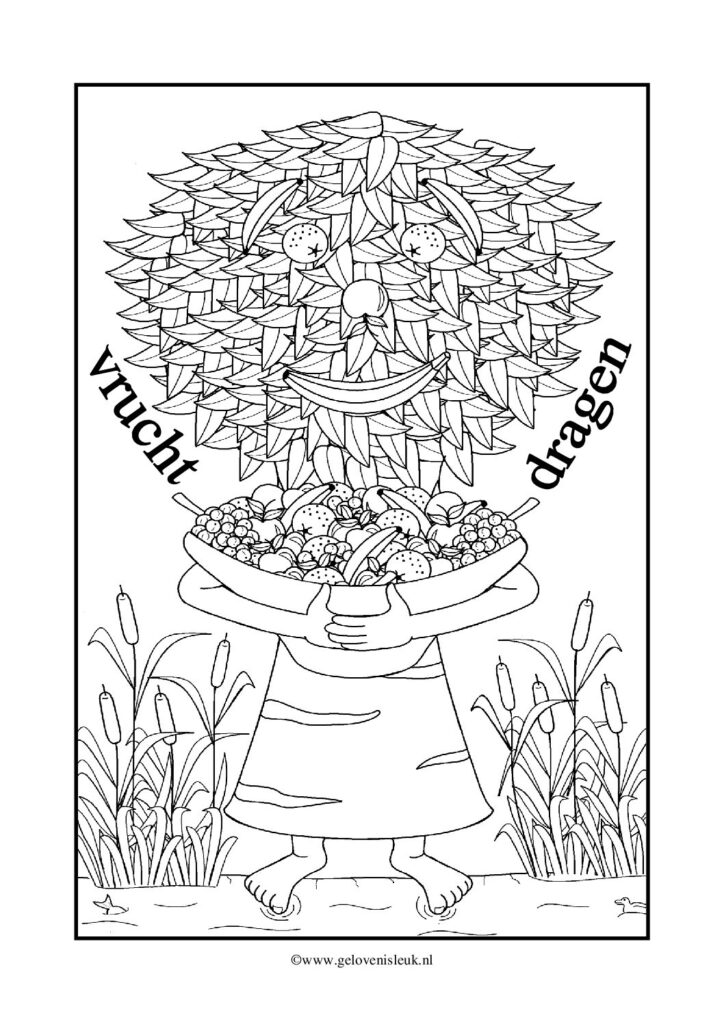 thumbnail of vrucht_dragen