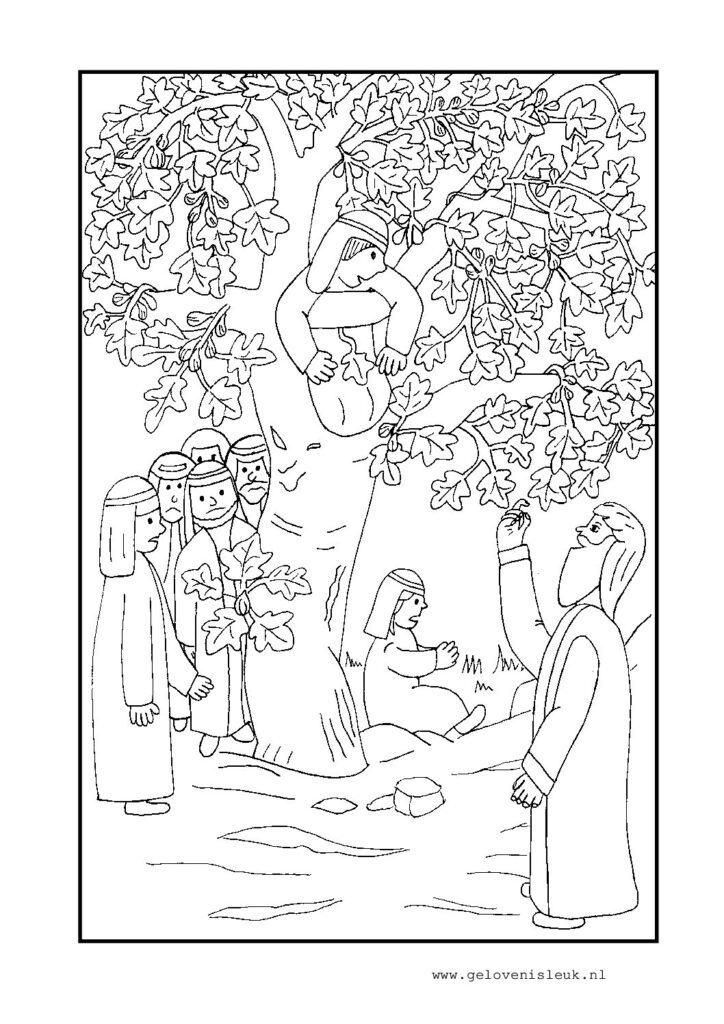 thumbnail of zacheus